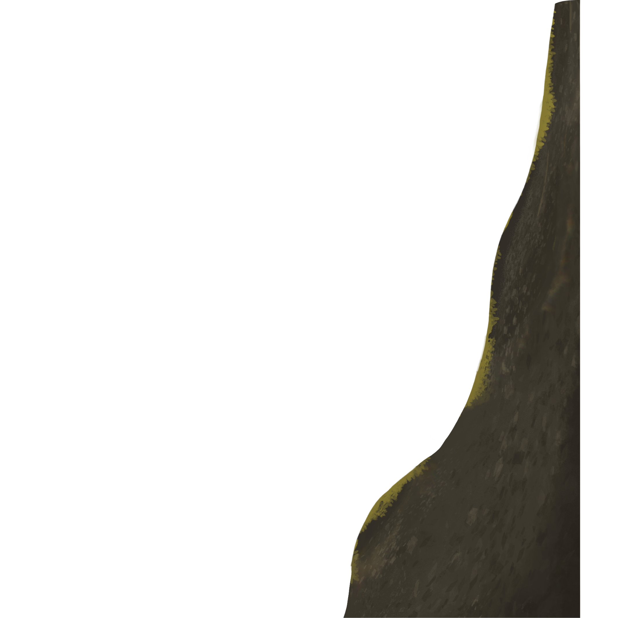 Troncgauche